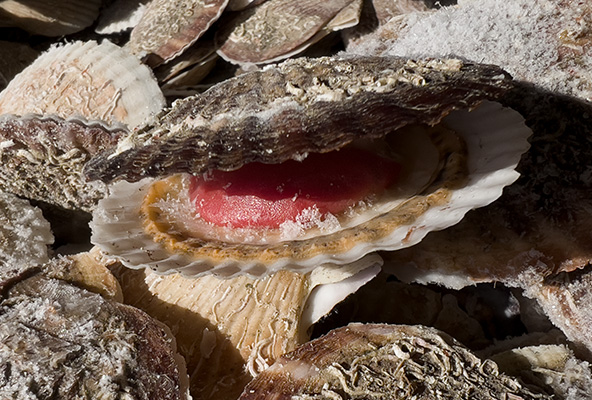 安定した価格と供給量