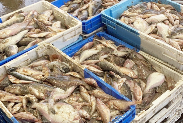 多彩なニーズに対応